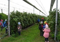 Návštěva partnerské školky v Pernersdorfu dětmi z MŠ a ZŠ Adamov