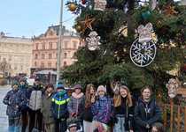 ENVIRONMENTÁLNÍ PROGRAM BRNO, KAMENAČKY – OBOJŽIVELNÍCI A PLAZI