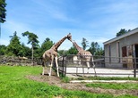 ŠKOLNÍ VÝLET – ZOO OLOMOUC (18. 6. 2024)