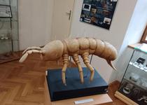 Moravský kras pod mikroskopem