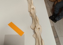 Zoo Brno a klimatické změny