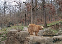 Zoo Brno a klimatické změny