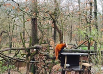 Zoo Brno a klimatické změny
