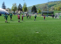 McDonald's Cup 2026