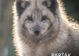 Adopce zvířat v brněnské ZOO