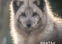 Adopce zvířat v brněnské ZOO